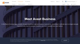 
                            3. Business products - Avast