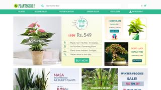 
                            2. Buy Plants Online in India: Live Plant Nursery | Shop Online Plants ...