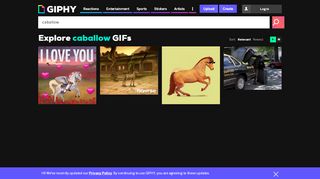 
                            12. Caballow GIFs - Get the best GIF on GIPHY