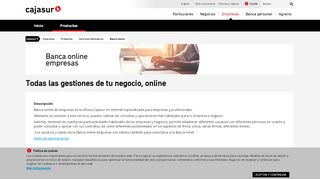 
                            11. Cajasur - Banca Online