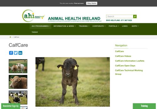 
                            8. CalfCare – Animal Health Ireland