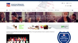 
                            9. Calling Young Professionals: Spring 2019 YSEALI (Young ...