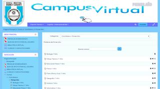 
                            8. Campus Virtual E.I.D.F.S: Primer Año