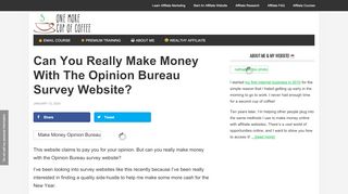 
                            13. Can You Really Make Money With The Opinion Bureau Survey Website?