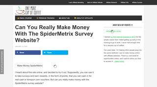 
                            12. Can You Really Make Money With The SpiderMetrix Survey Website?