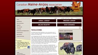 
                            3. Canadian Maine Anjou Association