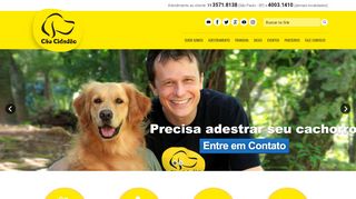 
                            12. Cão Cidadão | Adestramento de Cães - Consulta Comportamental