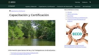 
                            10. Capacitación y Certificación | SPC-CONANP