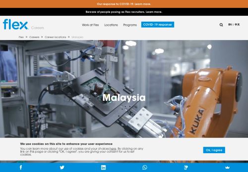 
                            3. Careers at Flex in Malaysia | Flex