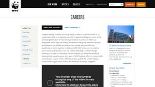 
                            8. Careers, Benefits, Internships | WWF