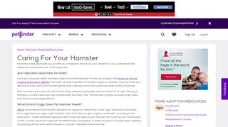 
                            12. Caring For Your Hamster | Petfinder