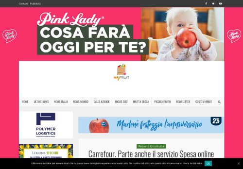 
                            10. Carrefour. Parte anche il servizio Spesa online - Myfruit