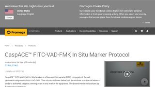 
                            12. CaspACE™ FITC-VAD-FMK In Situ Marker Protocol