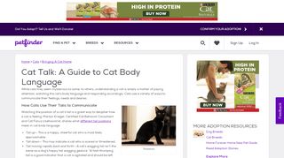 
                            9. Cat Talk: A Guide to Cat Body Language | Petfinder