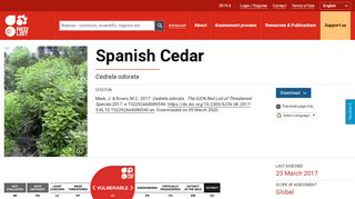 
                            11. Cedrela odorata (Spanish Cedar) - IUCN Red List