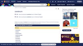 
                            13. CEREBRUM | Pronunciation in English - Cambridge Dictionary