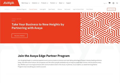 
                            9. Channel Partners - Avaya