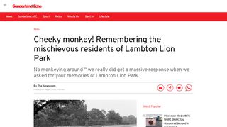 
                            10. Cheeky monkey! Remembering the mischievous residents of ...