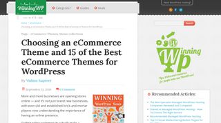 
                            13. Choosing an eCommerce Theme and 15 of the Best for WordPress ...