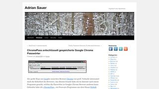 
                            13. ChromePass entschlüsselt gespeicherte Google Chrome Passwörter ...