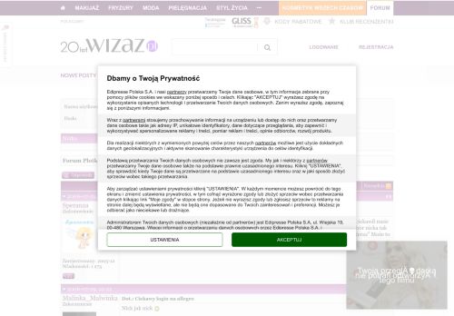 
                            8. Ciekawy login na allegro - Wizaz.pl