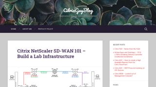 
                            8. Citrix NetScaler SD-WAN 101 – Build a Lab Infrastructure ...