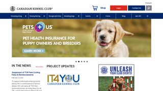 
                            4. CKC | Purebred Puppies, Dog Competitions, Show Dog ...