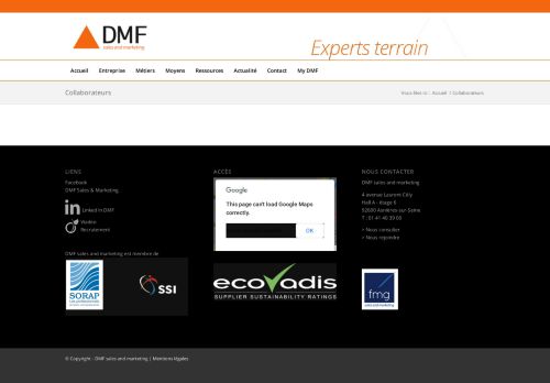 
                            2. Collaborateurs - DMF sales and marketing