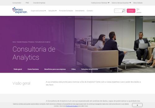 
                            2. Consultoria de Negócios - Serasa Experian