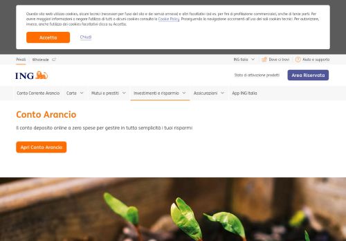 
                            3. Conto deposito online Conto Arancio: il rendimento sicuro | ING