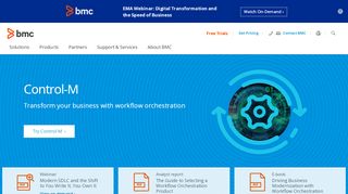 
                            10. Control-M Workload Automation - BMC Software