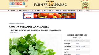 
                            10. Coriander and Cilantro: Planting, Growing, and Harvesting ...