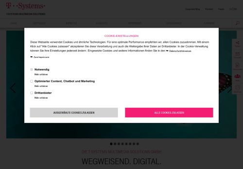 
                            4. Corporate Site der T-Systems Multimedia Solutions