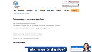 
                            5. CorpPass - IRAS