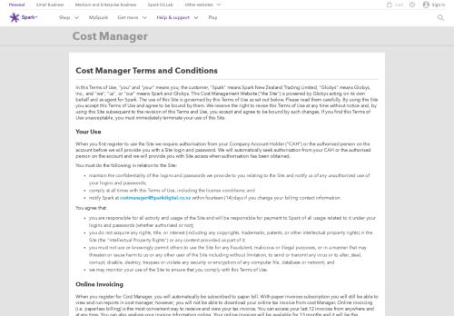 
                            4. Cost Manager | Spark NZ