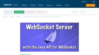 
                            13. Creating a WebSocket Server with the Java API for WebSockets - Nexmo