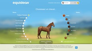 
                            5. Créer mon cheval virtuel gratuitement - Equideow Ouranos