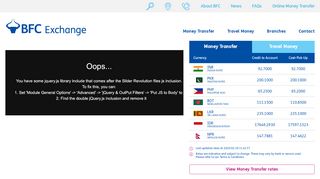 
                            9. Currency Exchange UK | Money Transfer | BFC Exchange UK