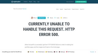 
                            6. Currently unable to handle this request. HTTP ERROR 500. - WPMU Dev
