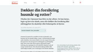 
                            12. Dækker din forsikring husmår og rotter? - Bolius