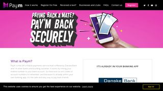 
                            13. Danske Bank - Paym