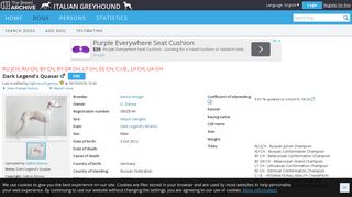 
                            10. Dark Legend's Quasar - Italian Greyhound - The Breed Archive