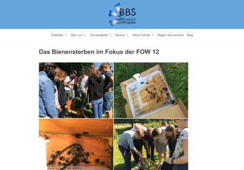 
                            13. Das Bienensterben im Fokus der FOW 12 – BBS am Museumsdorf