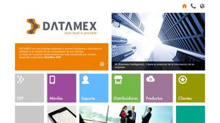 
                            10. Datamex