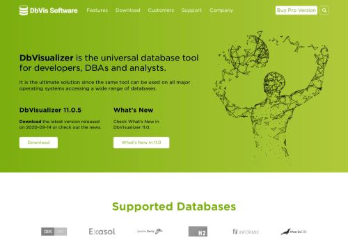 
                            11. DbVisualizer: Database Management Software Tools