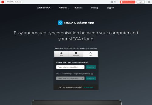 Desktop App - Mega