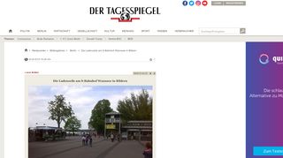 
                            10. Die Ladenzeile am S-Bahnhof Wannsee in Bildern - Bildergalerien ...