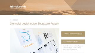 
                            12. Die meist gestelltesten Shopware-Fragen - Digital Strategie Blog