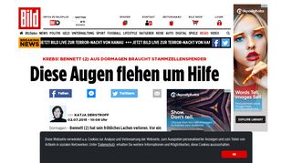 
                            8. Diese Augen flehen um Hilfe - Düsseldorf - Bild.de