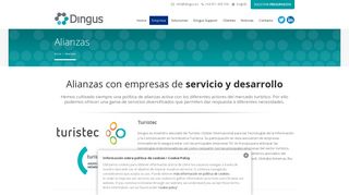 
                            8. Dingus Services| Colaboradores